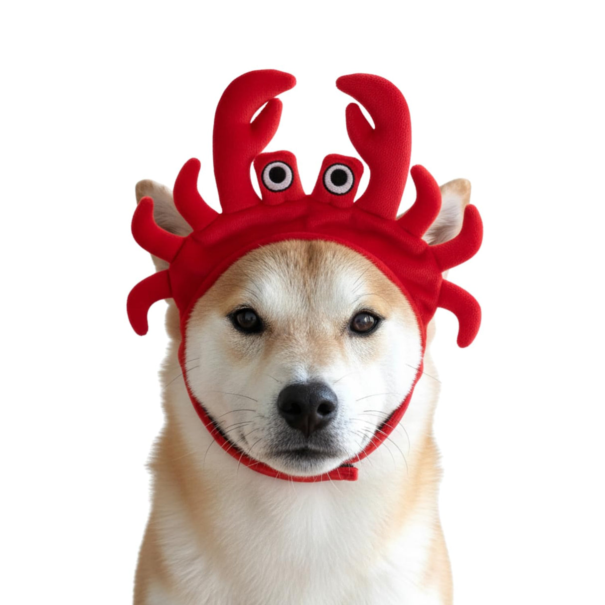 CheetahBoo Crab Dog Costume for Dogs Animal Lobster XS XXL Red Headband Cosplay Outfits Halloween Costumes, L
