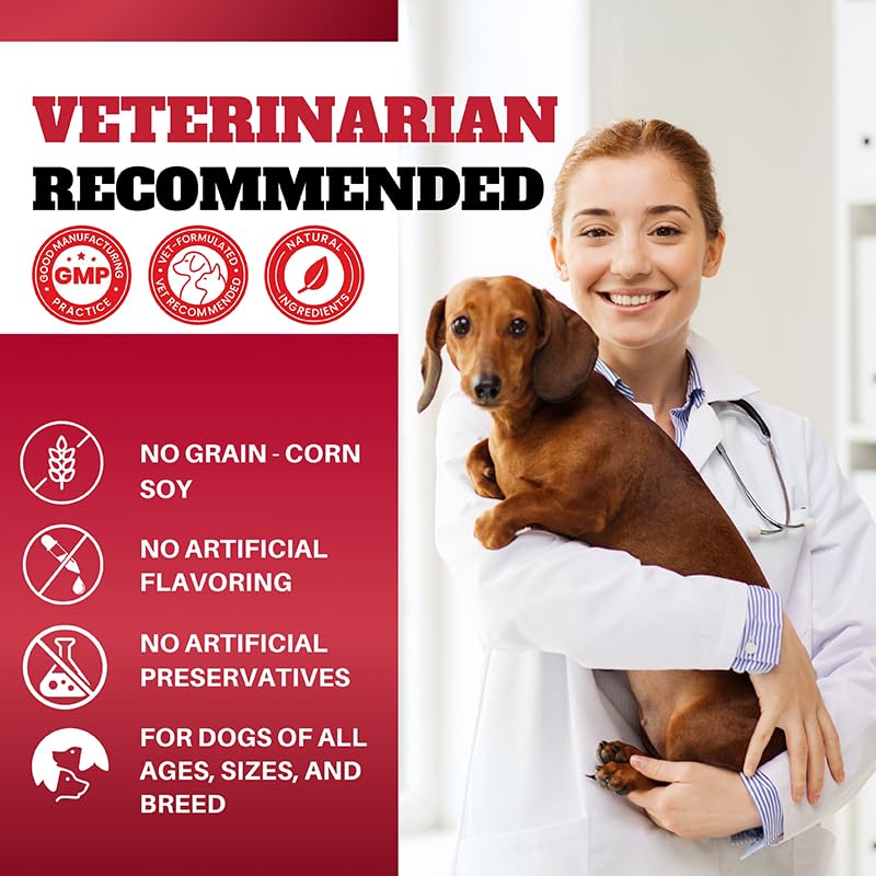 Dog Probiotics Chews Supplement – Digestive Support & Gut Health for Dogs, Helps Loose Stool, Gas & Sensitive Stomachs, Supports Itchy Skin, Allergy & Immune Health – 120 Ct