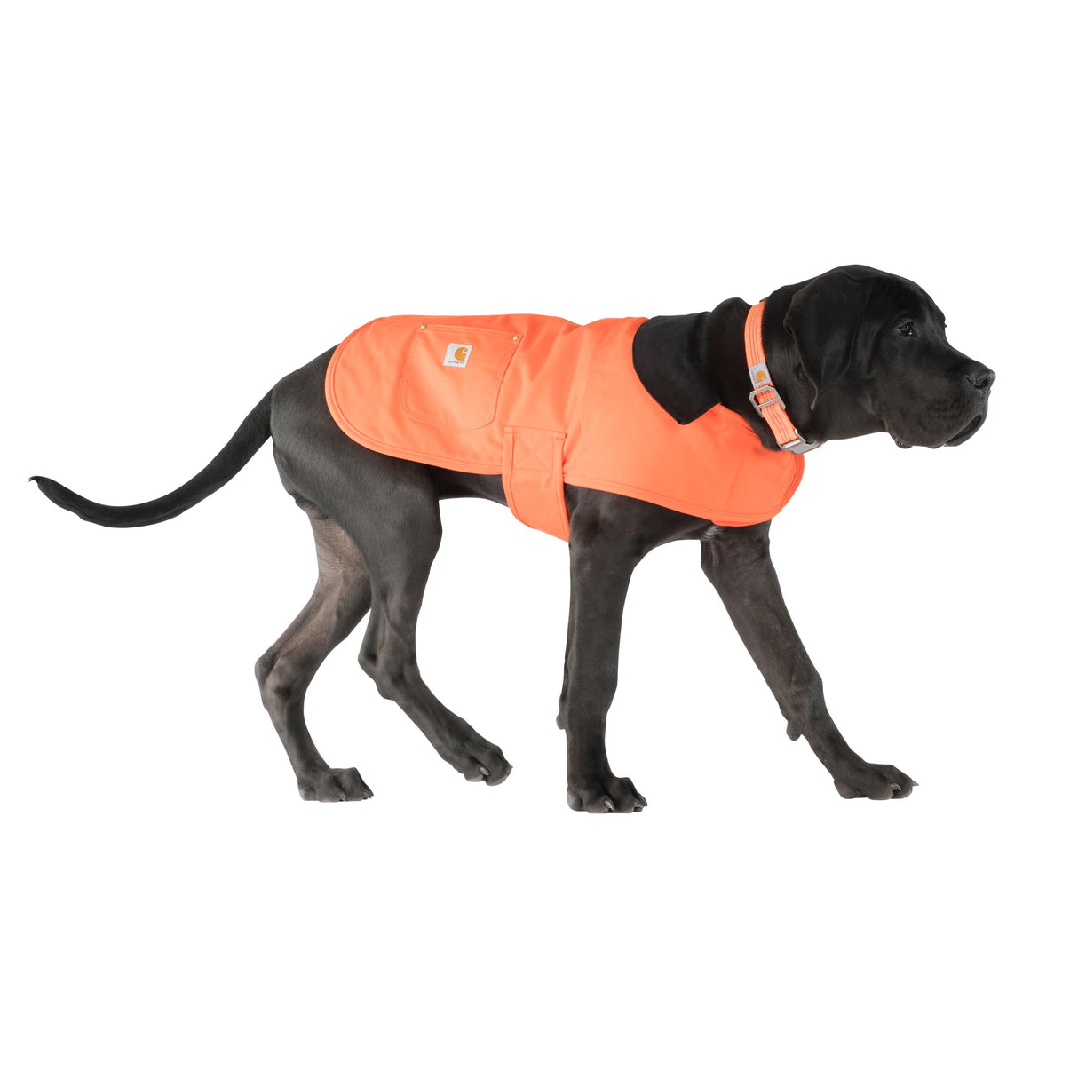 Carhartt Firm Duck Insulated Dog Chore Coat, Durable Weather Resistant Coat for Cold and Windy Conditions, Contains PFAS (Hunter Orange), Medium