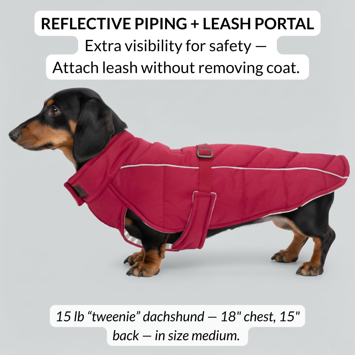 DJANGO Insulated Winter Dog Coat – Warm, Water-Repellent Puffer Jacket for Small Dogs, Dachshunds & Puppies – Adjustable, Reflective Cold-Weather Dog Coat with Harness Hole – Firelight Red, Small