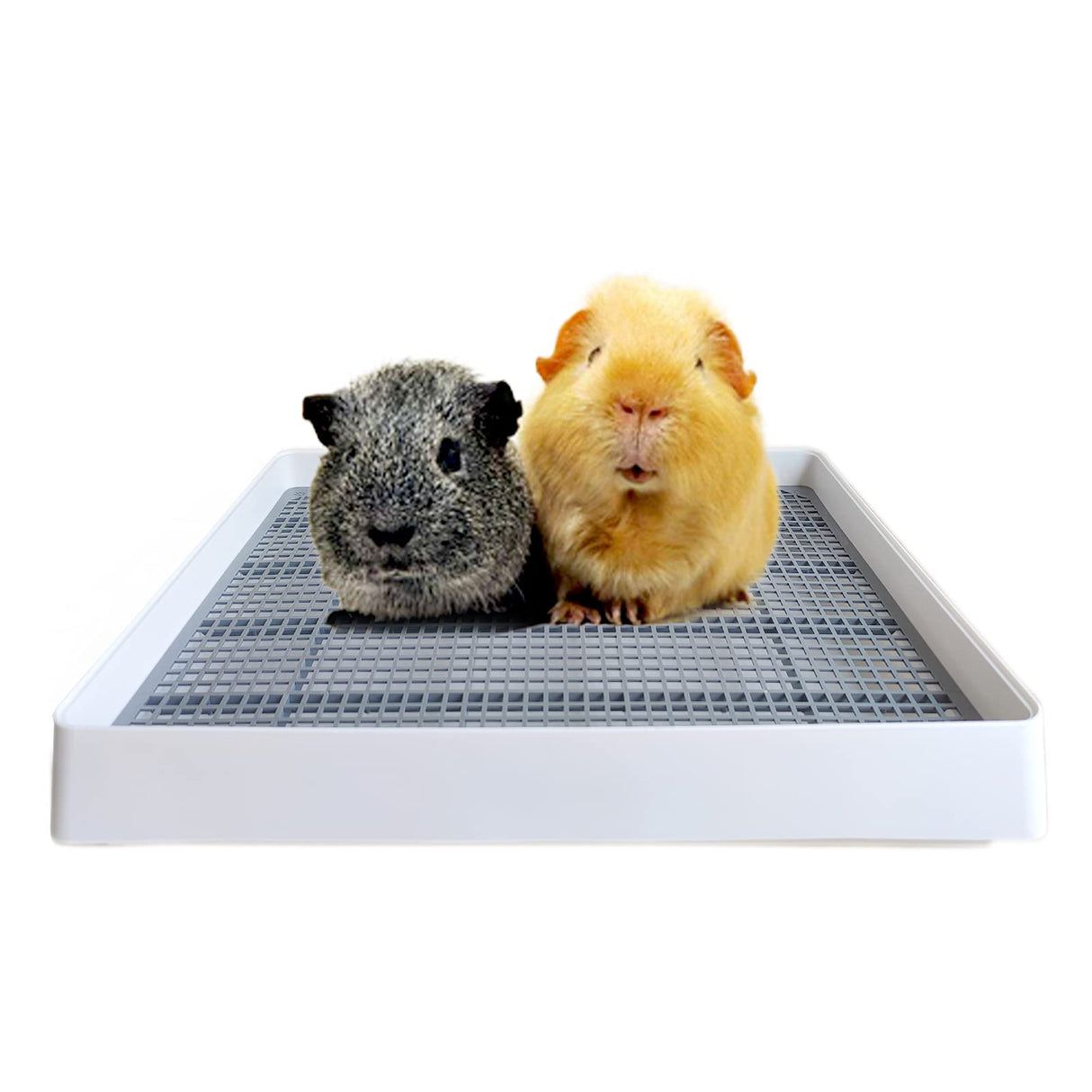 PODOO Rabbit Litter Box – Training Potty Tray for Guinea Pig & Small Pets · Spacious Grid Pan with Low Entrance, Easy-Clean & Odor-Resistant—Helps Keep a Clean Cage and Reduce Mess