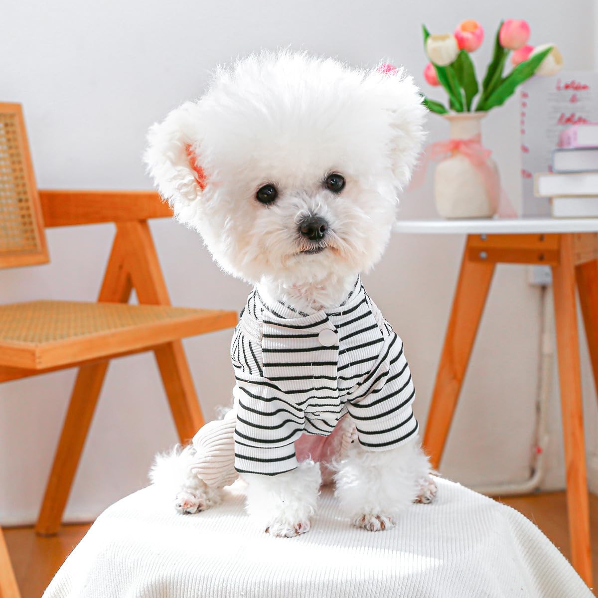 Dog Stylish Overalls Comfortable Puppy One Piece Outfits Winter Bib Overalls for Small Dogs Cute Pet Jumpsuit Onesie Chihuahua Yorkies Birthday Holiday Clothes Costume
