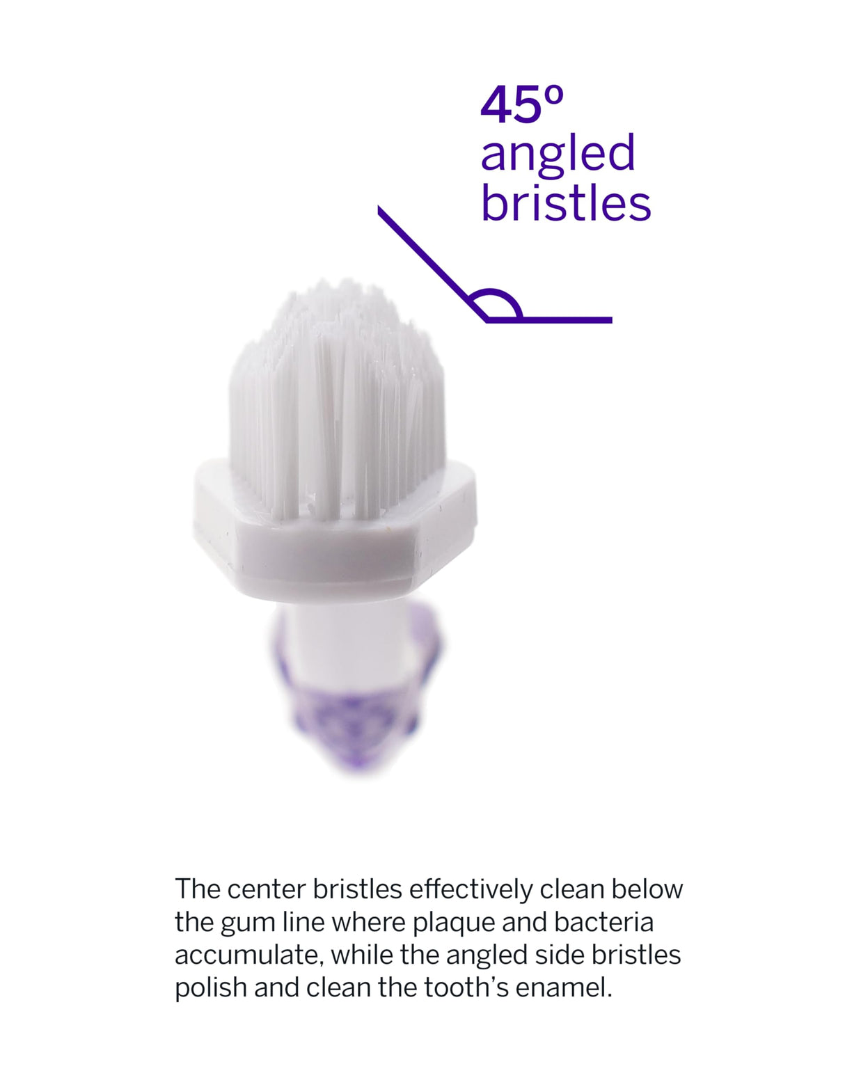 petsmile Professional Pet Toothbrush - Patented 45 Degree Cat & Dog Toothbrush for Small & Large Animals - Pet Accessories for Dental Care - VOHC Approved Teeth Cleaning - Dog Toothpaste Not Included