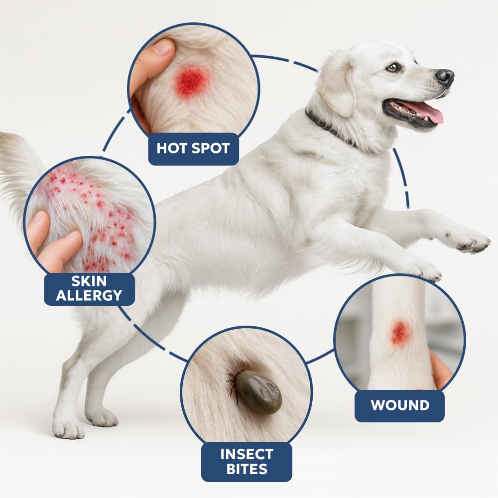 Forticept Clear Butter Dog Hot Spot Treatment Hydro Gel, Heals Dog Wound, Helps with Skin Yeast Infections, Ringworm, Insects Bites, Cuts, Rashes, Skin Allergy, 4 Ounces