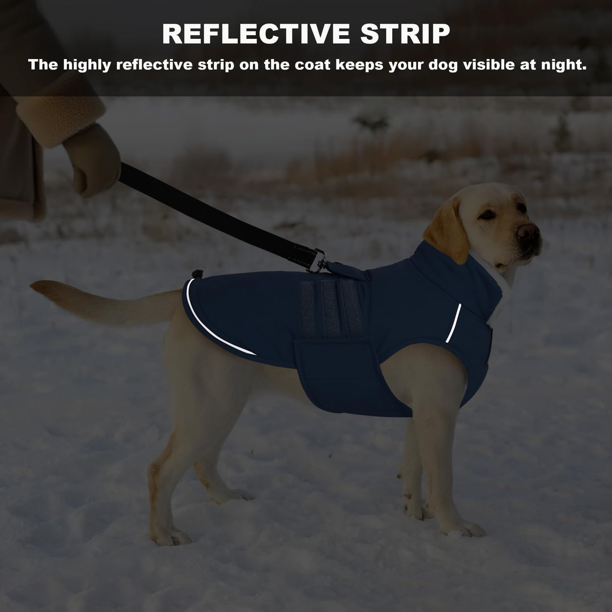 Mklhgty Extra Warm Dog Coat, Waterproof Dog Winter Jacket with Leash Portal, Fleece Reflective Pet Snow Vest for Small Medium Large Dogs - Blue - XL