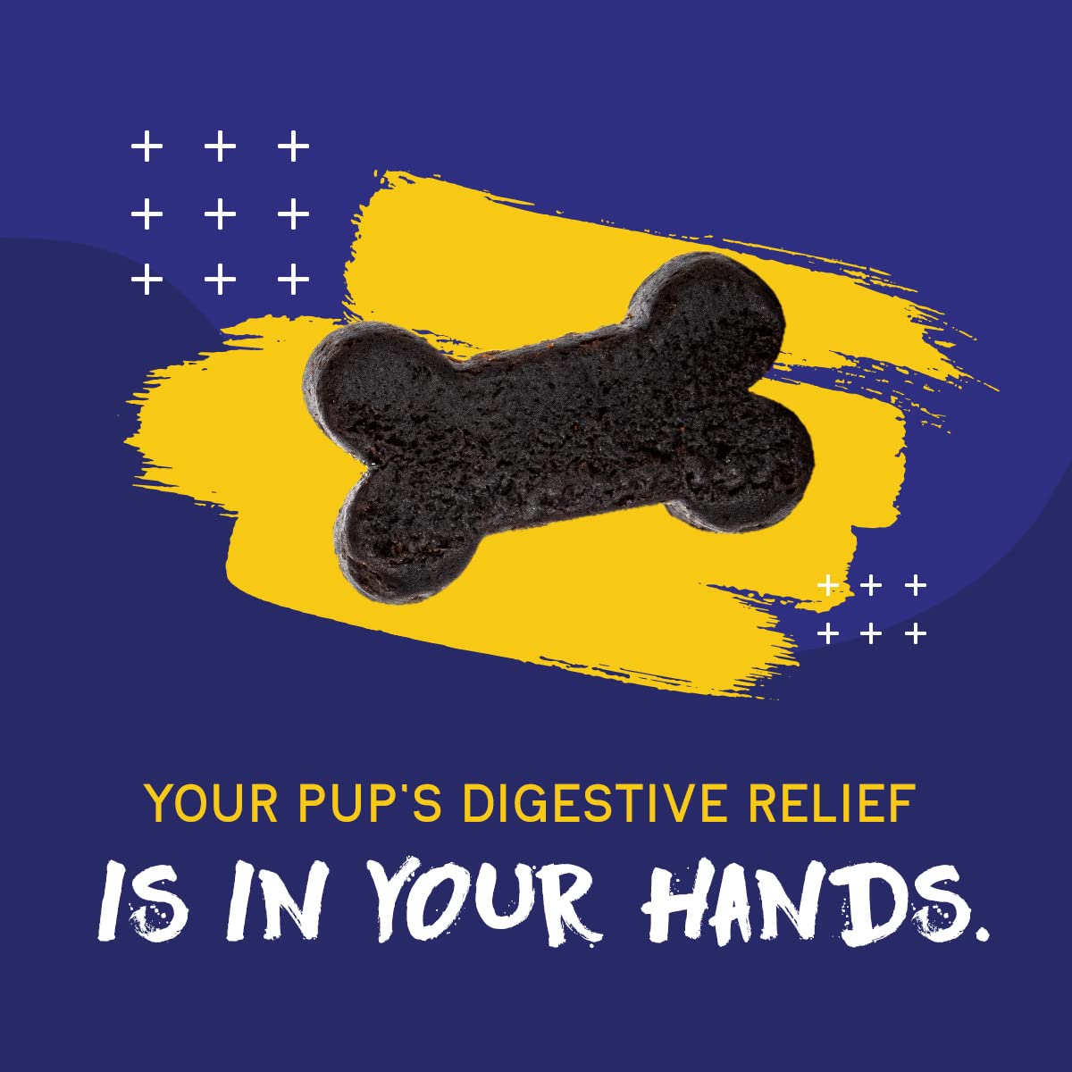 PupGrade Digestive Support Chews for Dogs - Prebiotic and Probiotic Supplement with Enzyme Blend - Upset Stomach, Diarrhea, Bowel, and Immune Support - Pumpkin, Blueberry, Mineral Oil - 60 Soft Chews