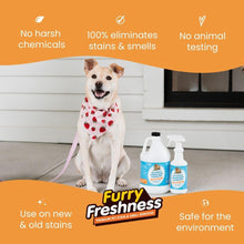Load image into Gallery viewer, FurryFreshness Extra Strength Cat or Dog Pee Stain & Permanent Odor Remover + Smell Eliminator -Removes Stains from Pets & Kids Including Urine or Blood- Lifts Old Carpet Stains- 32oz Spray