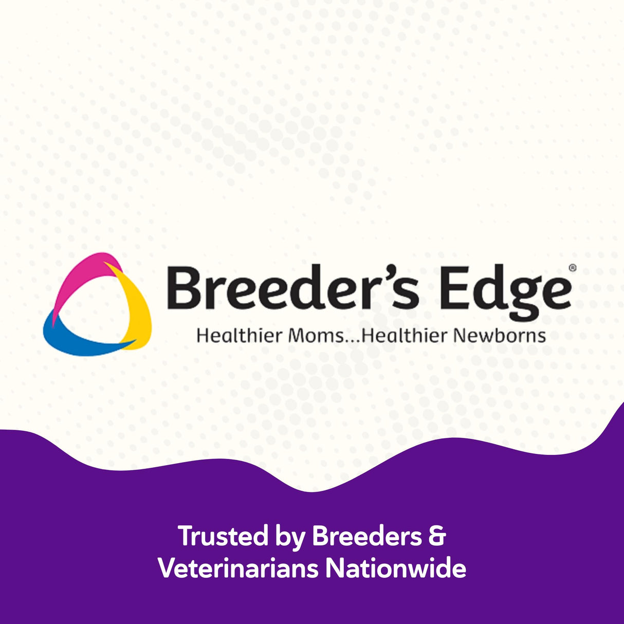 Breeder’s Edge Puppy Lyte, Electrolyte Supplement for Puppies and Nursing Dogs, Supports Hydration, Energy & Recovery, Chicken Soup Flavor, 300g