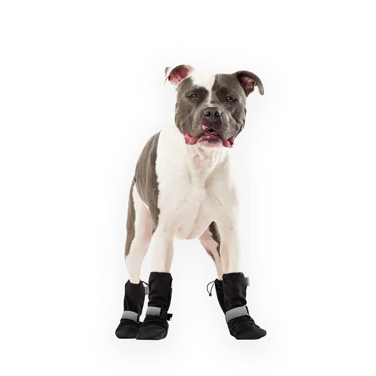 Canada Pooch Dog Winter Boots - Paw Protection, Anti-Slip Dog Shoes with Reflective Strap, Easy On for Small Medium Large Dog Booties - Black, Size 3