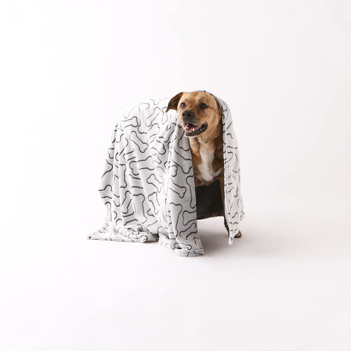 Bone Dry Embossed Bone Collection, Pet Blanket, 36x48, Black