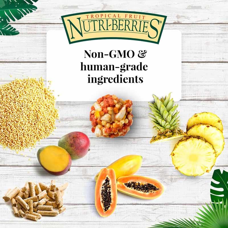 LAFEBER'S Tropical Fruit Nutri-Berries Pet Bird Food, Made with Non-GMO and Human-Grade Ingredients, for Parrots (10 oz Pack of 2)