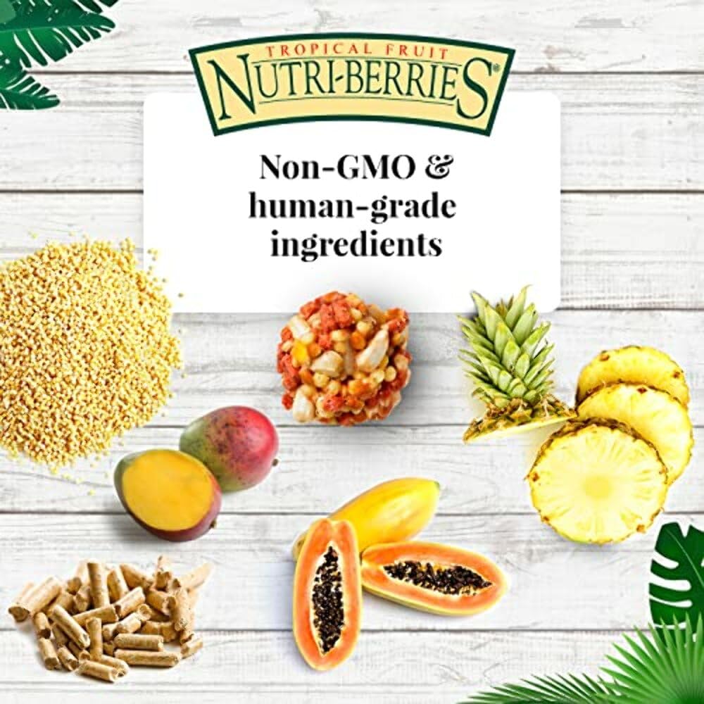 LAFEBER'S Tropical Fruit Nutri-Berries Pet Bird Food, Made with Non-GMO and Human-Grade Ingredients, for Parrots, 3 lb