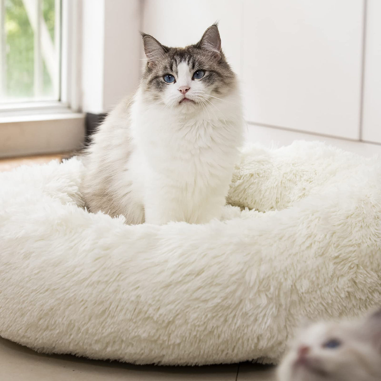 Raimaiso Anti Anxiety Round Fluffy Plush Faux Fur Warm Washable Dog Bed & Cat Bed, Original Bed for Small Medium Large Pets,Used to Relieve Joints and Improve Sleep(20"/24"/27'') (27", White)