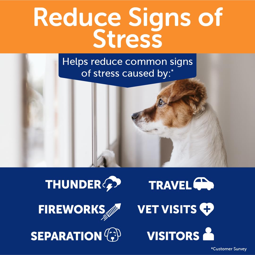 ThunderWunders Hemp Dog Calming Chews | Vet Recommended for Situational Anxiety | Fireworks, Thunderstorms, Travel & More | Made with Hemp Seed, Thiamine, L-Tryptophan, Melatonin & Ginger (60 Count)