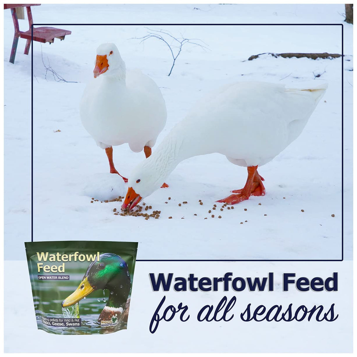 Waterfowl Feed Open Water Diet 40 lb | for Feeding Ducks Geese Swans | Floating Pellets with Niacin for Ducks
