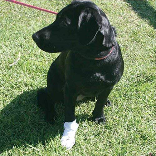 Wound Recovery Dog Boots 8-Pack by Nooby's. Protects Wounds, Bandages and medications. Medical Dog Booties for Maximum Protection Indoors and During Short Walks. (3XL: 6.5" - 7" Width)