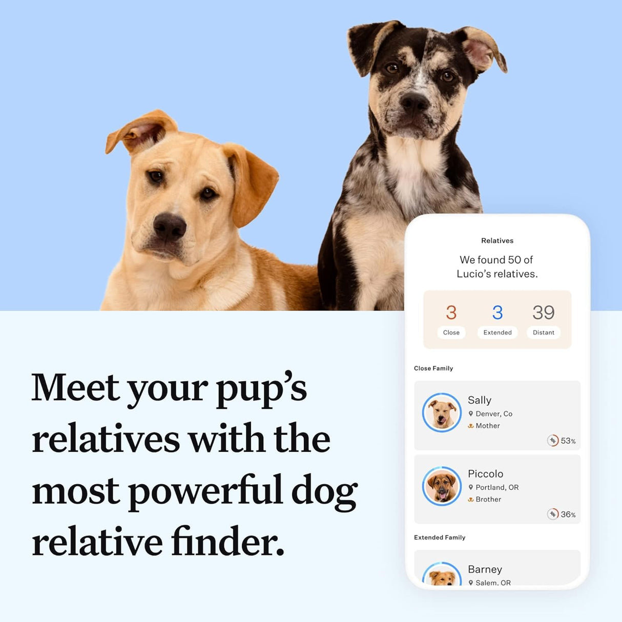 Wisdom Panel Essential Dog DNA Kit: Most Accurate Test for 365+ Breeds, 30 Genetic Health Conditions, 50+ Traits, Relatives, Ancestry - 2 Pack