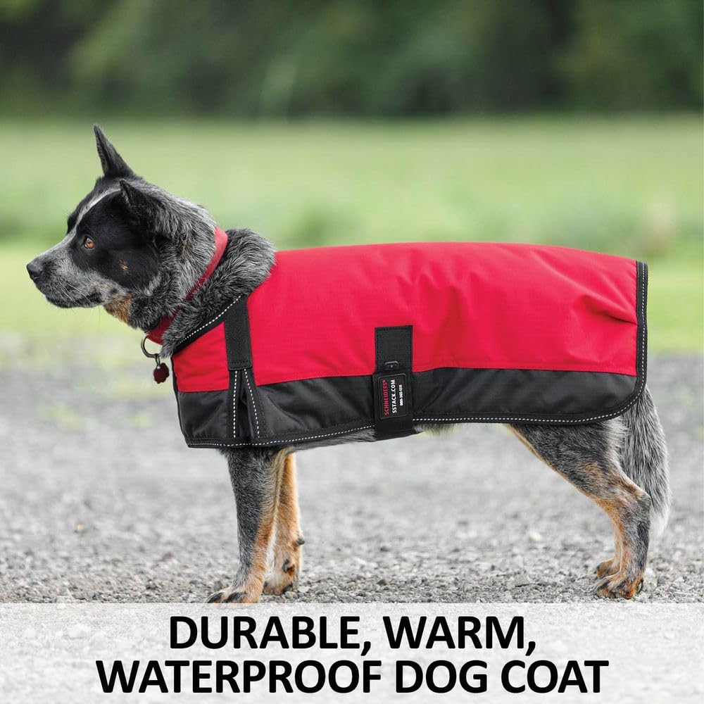 Schneiders Insulated Waterproof Reflective Dog Coats II | Reflective Stiching | 600D Polyester Waterproof | Soft Nylon Lining | Medium Weight 200gm | Color Royal | Size Medium