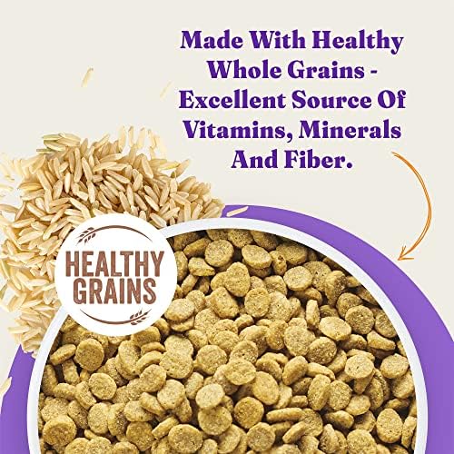 Halo Holistic Dog Food Cage Free Chicken & Brown Rice Formula, Healthy Grains Dry Dog Food, Complete Digestive Health, Kibble for Adult Dogs, 10 lb Bag