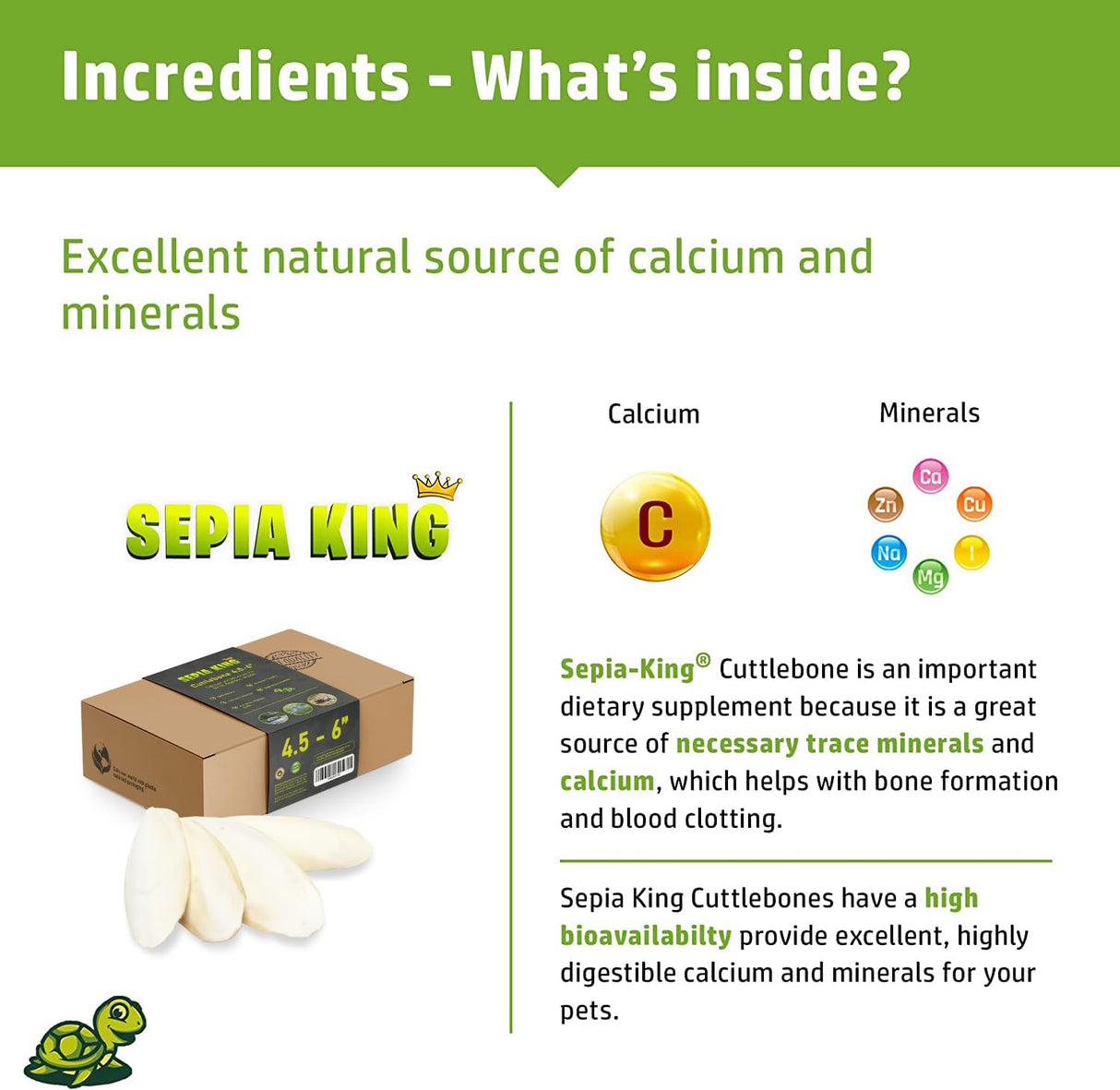 Sepia King - Medium - 100% Natural Calcium Supplement - Premium Cuttlebone Perfect for Birds, Tortoises, Snails, Reptiles - 12 Pack