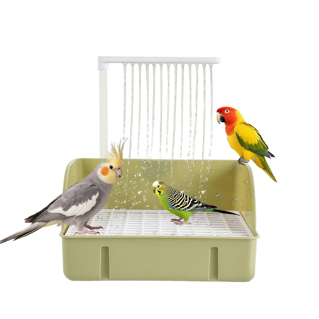ROOJUNE Bird Bath, Automatic Parrot Shower Bath with Pump, Birds Shower Bathtub with Running Water, Birdcage, Medium Birds Parakeet Budgies Cockatiels Conures Finches, Lovebird