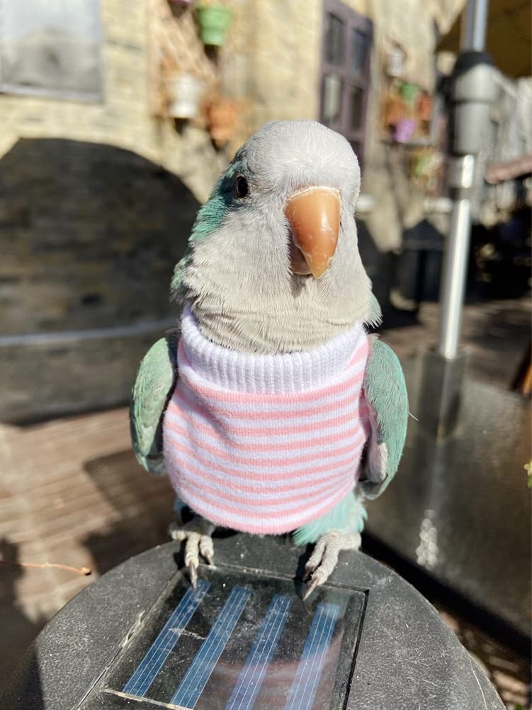 Bird Clothes - Handmade Cotton Stripe Shirt Round Collar Sweater Flight Suit for Parrots African Greys Parakeet Cockatiel Sun Conure Christmas Halloween Cosplay Apparel Bird Supplies (5XL,Pink)