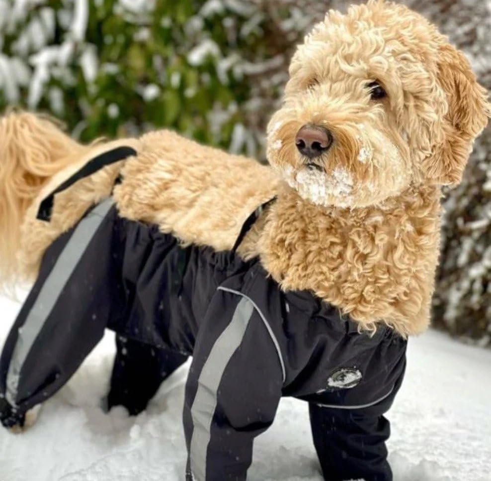 FouFou Dog 62562 Bodyguard Protective All-Weather Dog Pants, Small, Black
