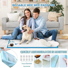 Load image into Gallery viewer, XXXXL Puppy Pee Pads for Dogs 31"x47" 40 Count, Extra Large Dog Pee Pads, Leak-Proof & Super Absorbent Dog Pee Pads, Thicken Disposable Potty Pads Puppy Training Pads for Cats Rabbits