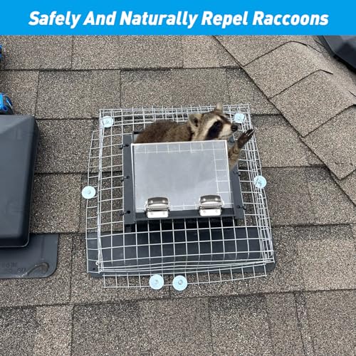 Raccoon One Way Eviction Door - Safe Eviction Raccoon Trap - Ideal for Attics, Under Decks, and Chimneys - DIY Installation - Humane Solution to Raccoon Intrusions
