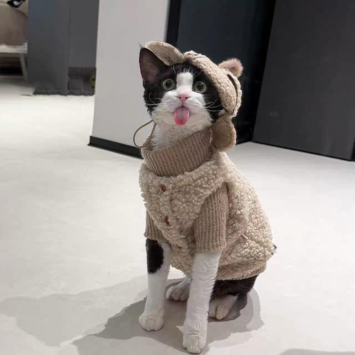 Retro Fleece Vest with Hat for Devon Rex and Hairless Cats Warm Winter Clothing for Cat & Dog (XL(10-13lbs))