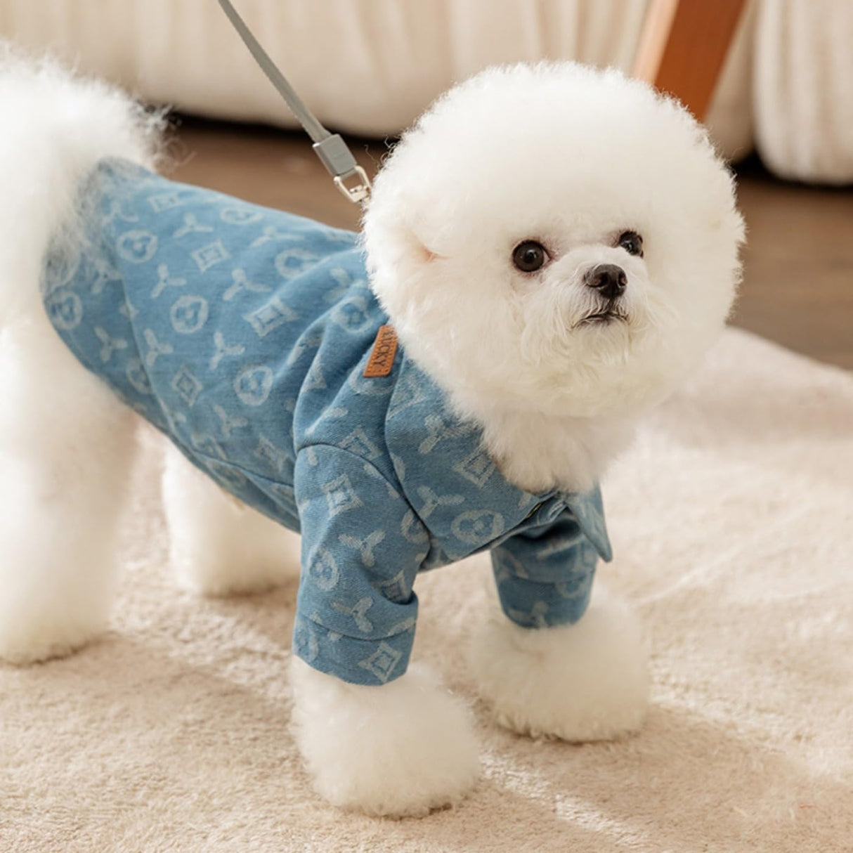 Dog Clothes for Small Dogs - Denim Shirt With Leash Ring, Puppy Sweatshirt, Cat Shirts, Pet Outfits - Light Blue M