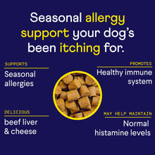 Load image into Gallery viewer, Finn Allergy & Itch for Dogs | Daily Support for Itchy Skin, Immune Health & Seasonal Allergies from Colostrum, Bee Propolis + Probiotics | 90 Soft Chews