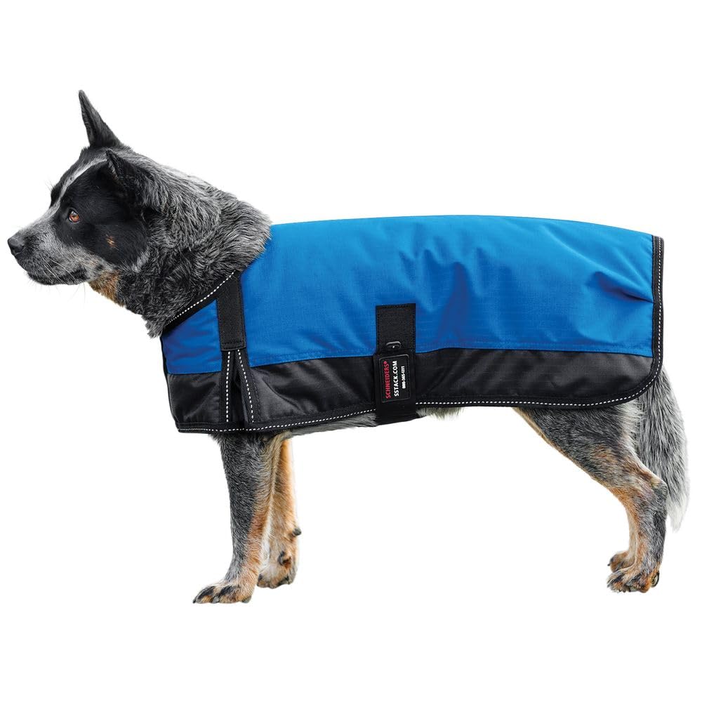Schneiders Insulated Waterproof Reflective Dog Coats II | Reflective Stiching | 600D Polyester Waterproof | Soft Nylon Lining | Medium Weight 200gm | Color Royal | Size Medium