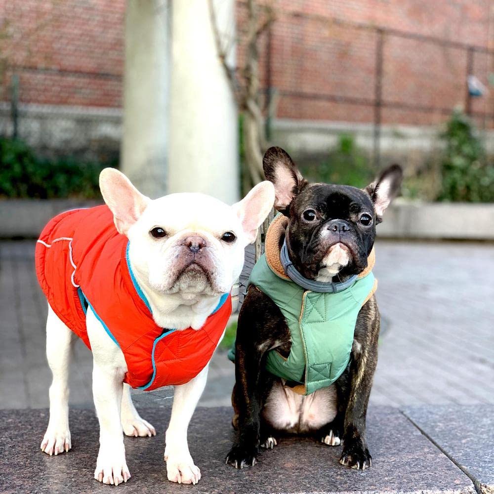 Gooby Sports Vest Dog Jacket - Red, Medium - Reflective Dog Vest with D Ring Leash Warm Fleece Lined Hook and Loop Closure for Small to Medium Dogs