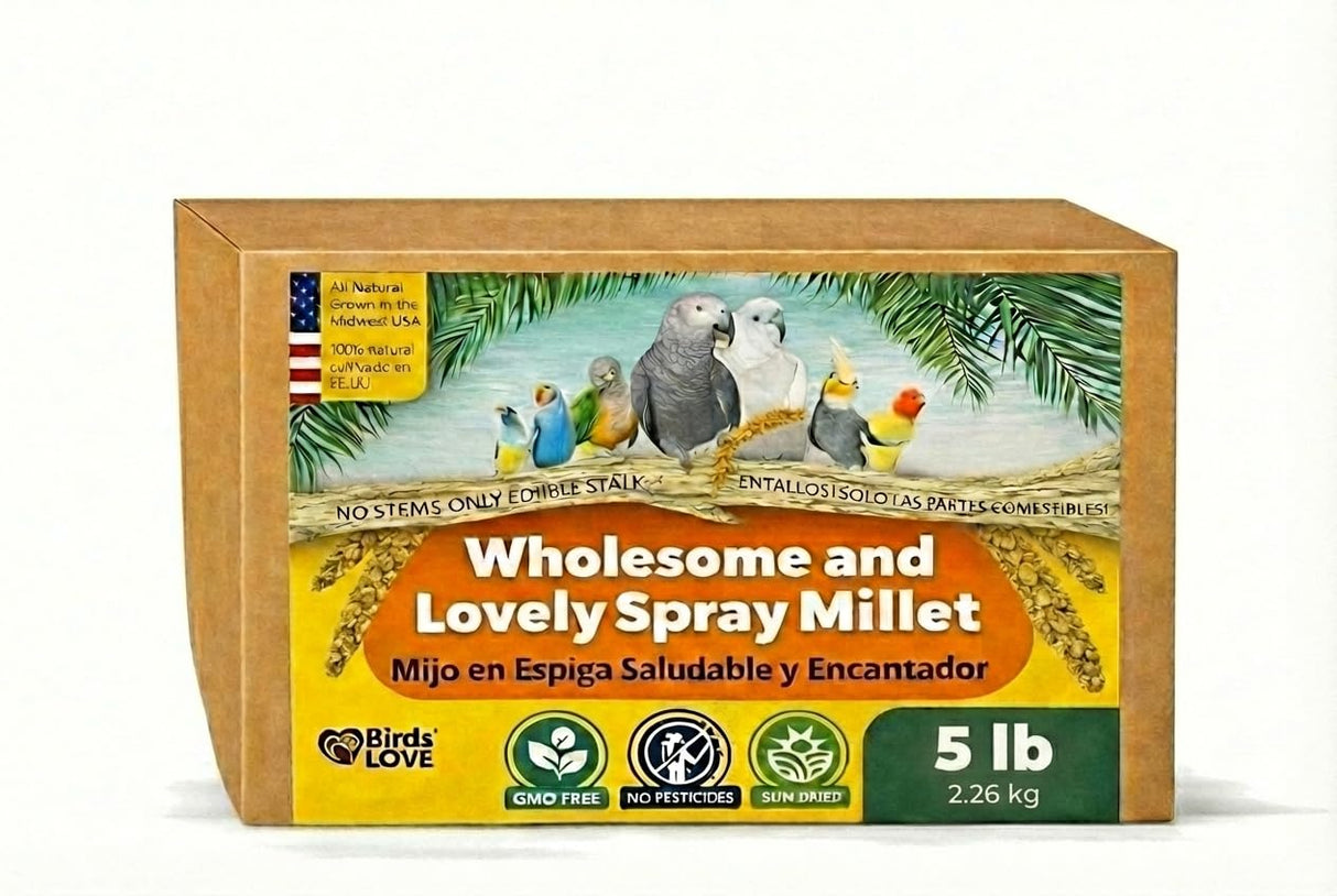 5lbs Wholesome Spray Millet for Birds β USA Grown, Harvested & Packed β 100% Natural Sun-Dried Millet Clusters β for Parakeets, Cockatiels, Conures, Budgies, Finches & All Parrots