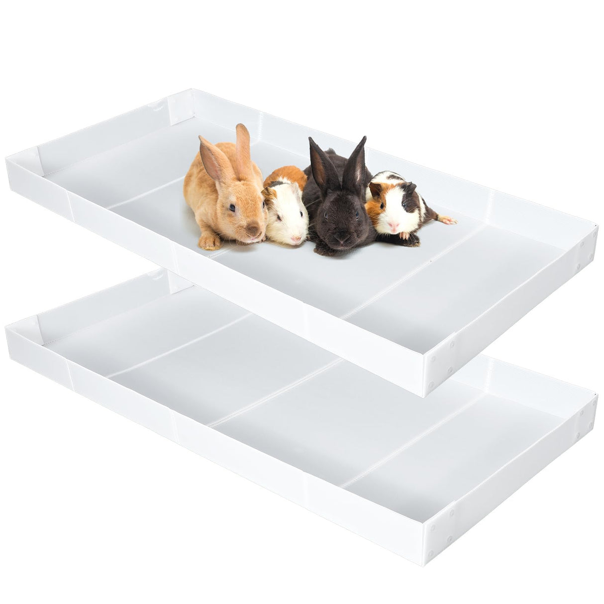 Wenqik 2 Pcs Guinea Pig Cage Liner Corrugated Plastic Cage Liner Base 2 x 4 Panel Size Guinea Pig Cage Bottom for Small Animals Hedgehogs Rabbits Cages Tray, 55 x 27 Inch(White)