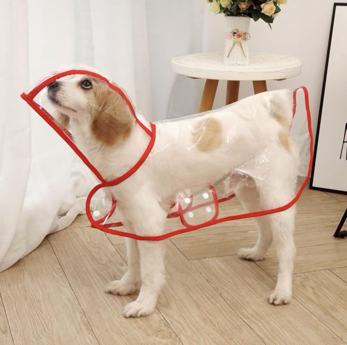 Harikaji Pet Raincoat,Small Dog Waterproof Puppy Raincoat Coat Transparent Pet Dog Rainwear Clothes for Small Dogs Cats (L,Red)