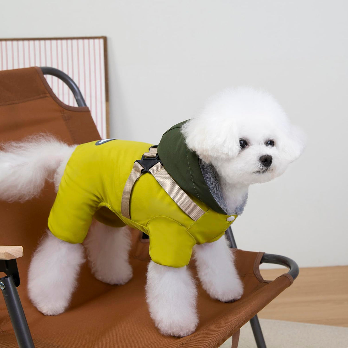 Izefia Dog Coat Pet Apparel Jumpsuit Windproof Cold Weather Coats 4 Legs Jacket Harness Chest Strap Warm Winter Thick Clothes Waterproof Snow Proof Cotton Coat for Small Dog Medium Cat Yellow M