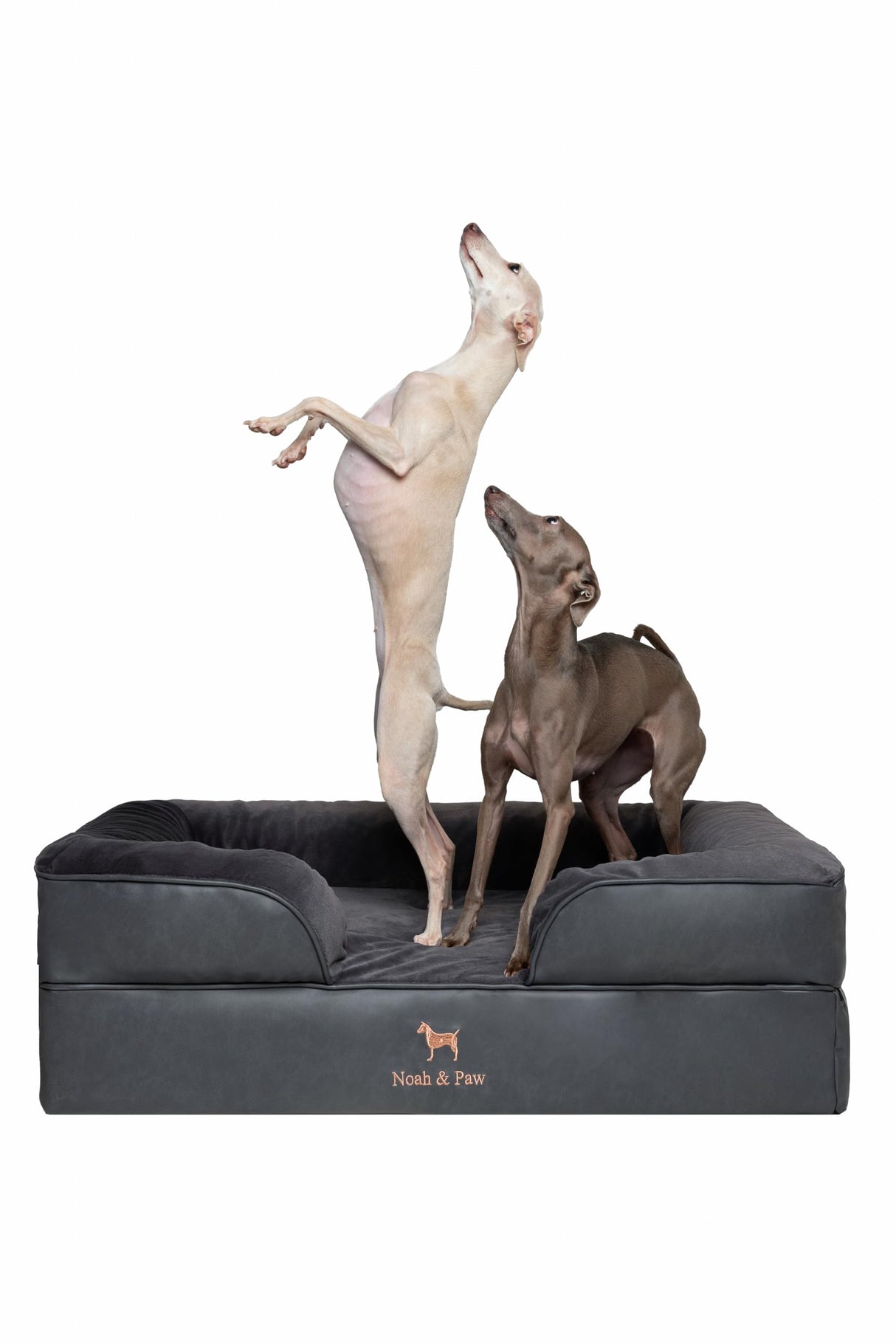 NOAH & PAW Large Dog Bed, 35x25x11 Inch, Orthopedic Dog Beds, Eggshell Memory Foam Infused with Cooling Gel, Inner Cover, Waterproof, Machine Washable (Faux Leather Sofa Collection)