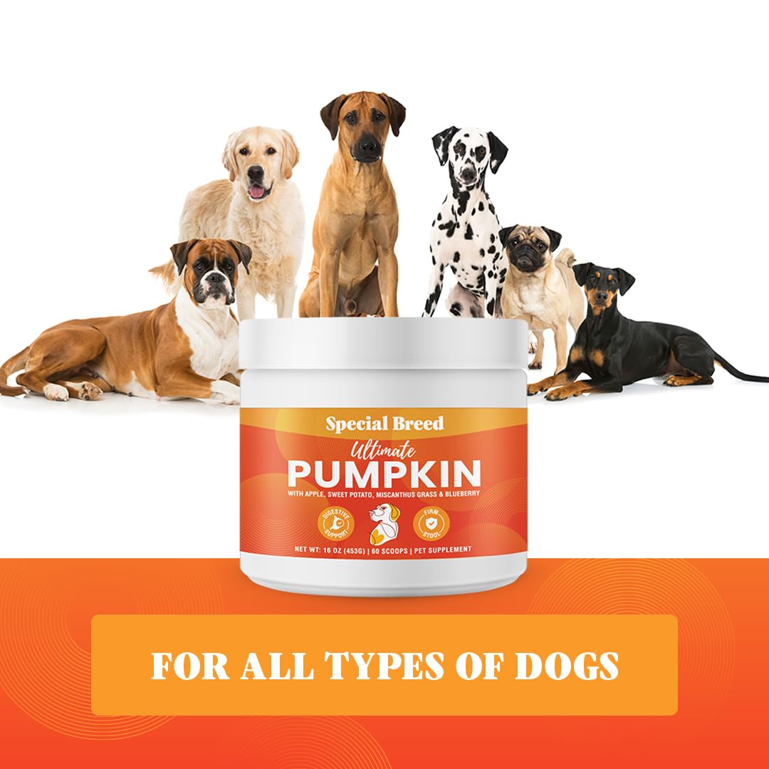 Ultimate Pumpkin for Dogs (16 oz) - with Organic Pumpkin, Apple, Sweet Potato, Miscanthus Grass & Blueberry, Digestive Support Relief for Constipation, Loose Stools, and Upset Stomaches, 60 Scoops