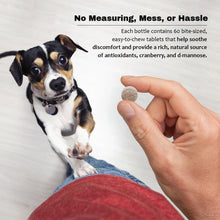 Load image into Gallery viewer, Cranberry D-Mannose Urinary Tract Supplement for Dogs & Cats – Bladder & UTI Health Support – Cranberry Extract, D-Mannose & Vitamin C–Promotes Urinary Wellness & Kidney Function – 60 Chewable Tablets