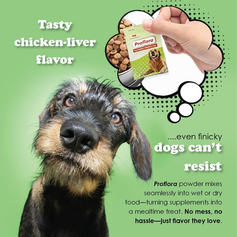 Proflora Probiotics for Dogs-Complete Gut Health & Immune Support. Easy to Use Digestive Multi-Strain Probiotics. Easier Diet Transitions, Healthier Skin & Coat & Helps Treat Diarrhea. 30 Packets.