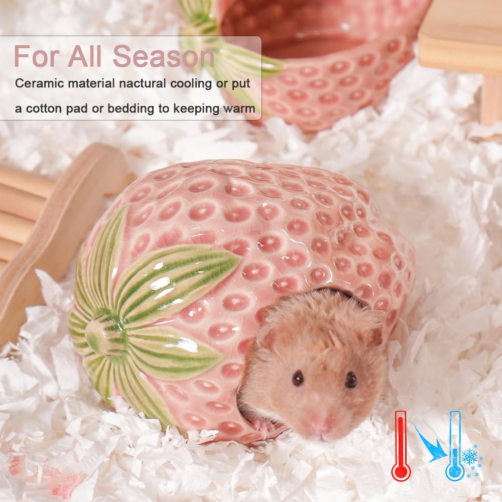 Zhilishu Ceramic Hamster Hideout, Strawberry Hamster House and Habitat, Syrian Hamster Hideout Decor Cool Bed for All Season Gerbil, Mice Guinea Pig