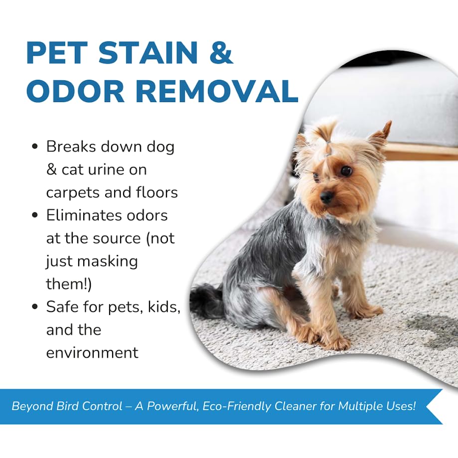 Bird Barrier Dissolve-It Max Enzyme Cleaner - Bird Dropping Cleaner - Dissolves Waste – Treat Affected Areas Before Installing Bird Control Products - Cleans pet stains - 1 Pint Makes 1/2 Gallon