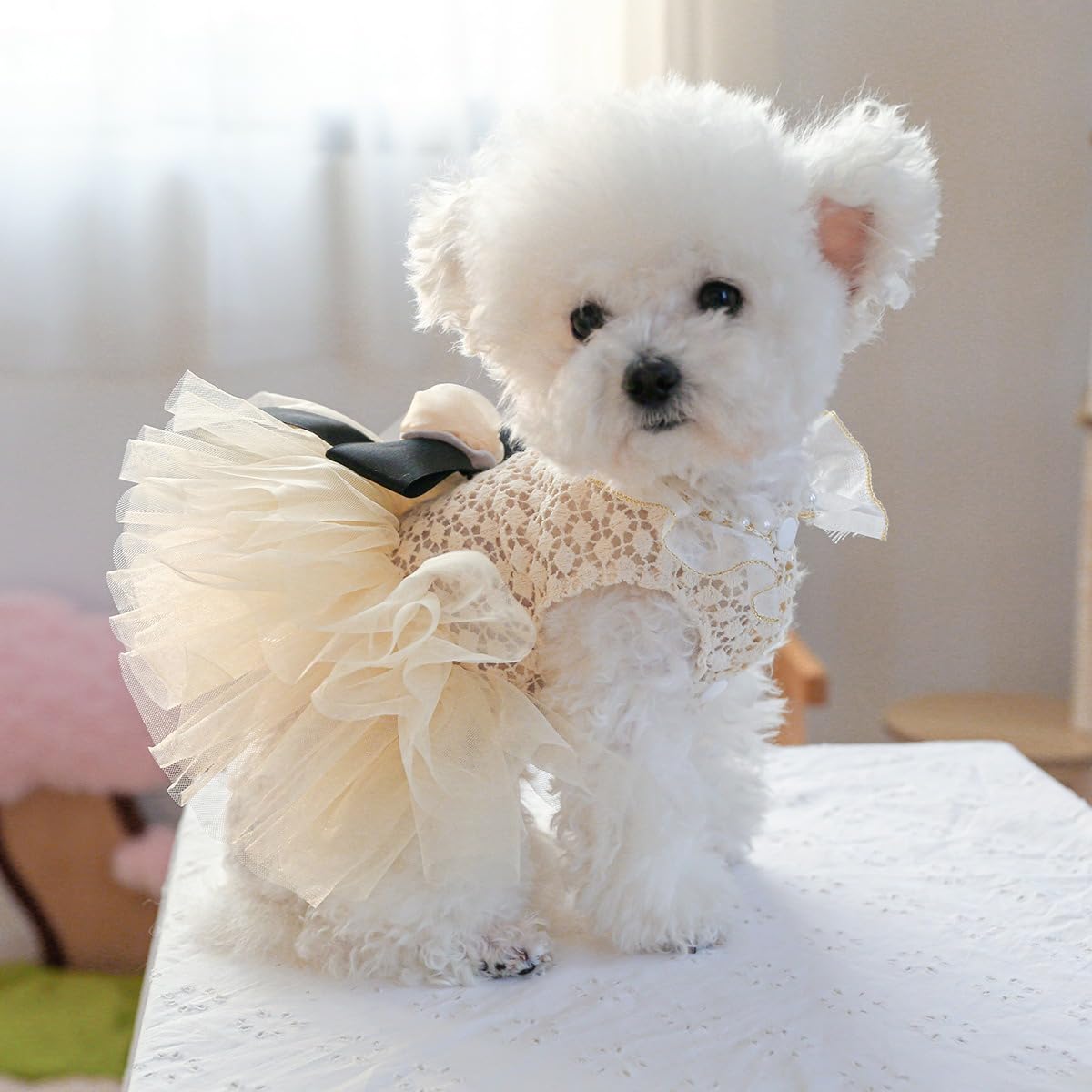 Dog Dress for Small Dog Girl Puppy Princess Tutu Dress Flower Decoration Cat Apparel Chihuahua Yorkie Clothes for Birthday Wedding Dress Lace Collar Dog Dress Dog Shirt Outfit Apparel Flower Large