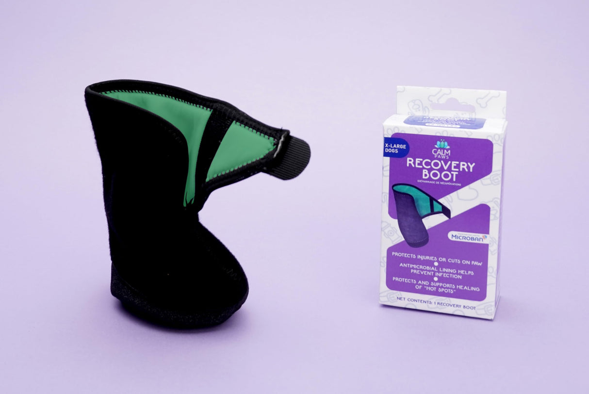 Calm Paws Recovery Boot and paw Protector (XLarge)