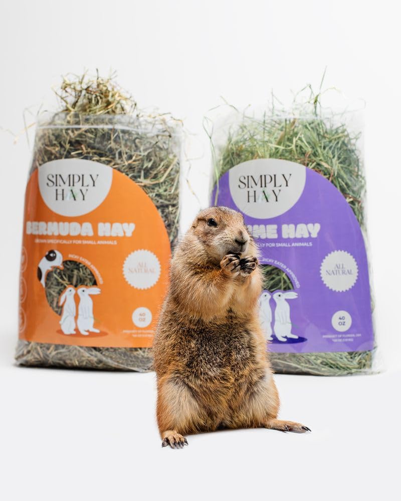 SimplyHay Bermuda Hay – High-Fiber, Low-Calcium Coastal Grass for Rabbits, Guinea Pigs & Small Pets – All-Natural, Hand-Packed, Timothy-Allergy Friendly (24 oz)