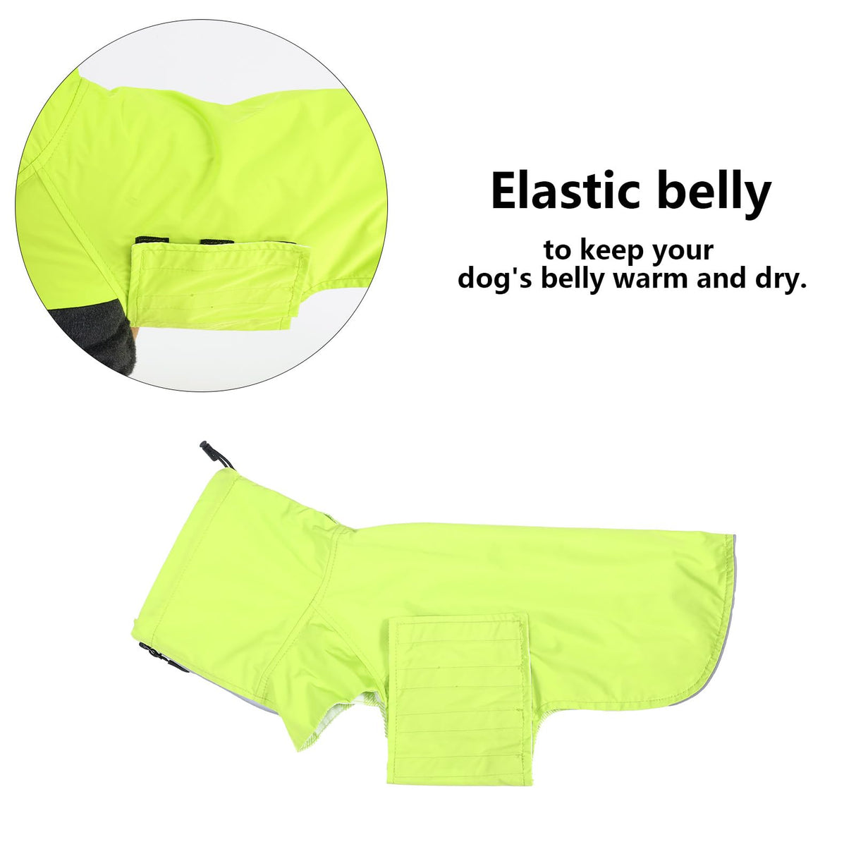 Geyecete Dachshund Raincoat,Miniature Dachshund Raincoat Waterproof Adjustable with High Neck with Harness Hole for Dachshund-Green-L
