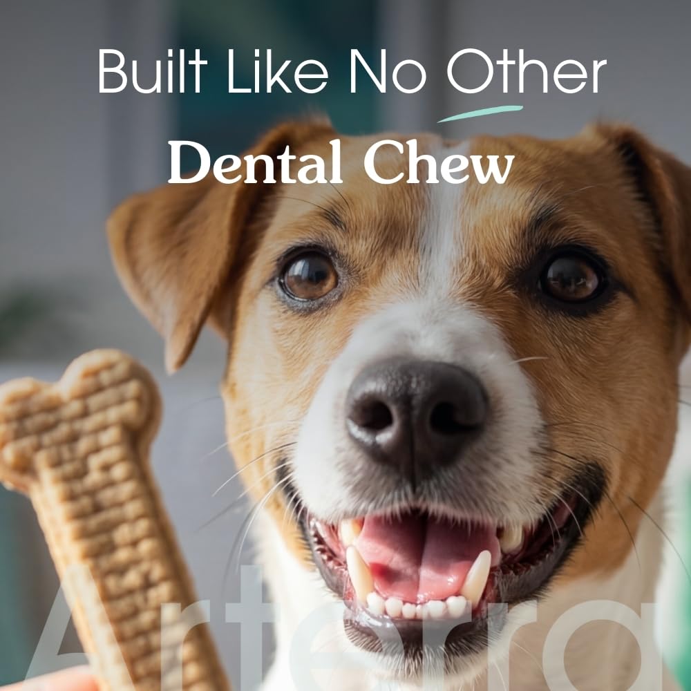 Arterra Pet Science Dog Dental Chews with Nano-Hydroxyapatite Next-Generation Daily Chews for Stronger Teeth, Fresh Breath, and Healthy Gut, 14 Count, Pack of 1