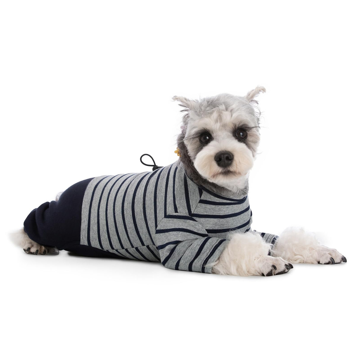Winter Coat for Dogs - Warm Cotton Cold Weather Striped Round Neck Pajamas, Long Sleeves Jumpsuit, Color-Blocked Clothes for Small Medium Dogs, Onesie Anti Hair Shedding